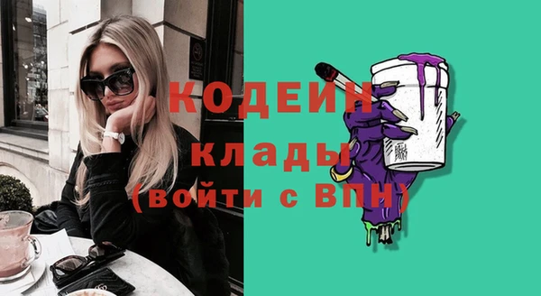 прущие грибы Дмитриев