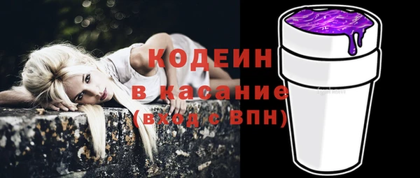 прущие грибы Дмитриев