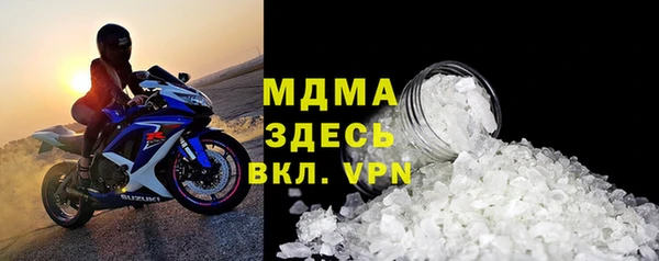 прущие грибы Дмитриев