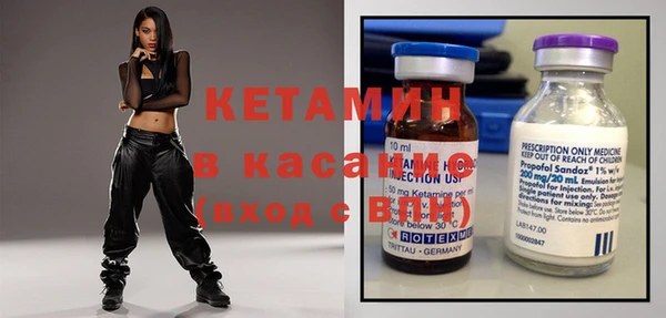 прущие грибы Дмитриев