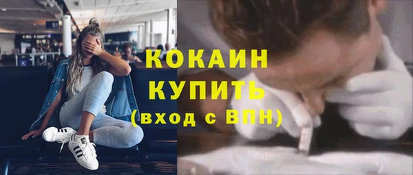 прущие грибы Дмитриев