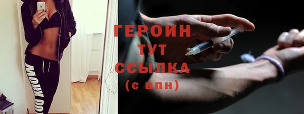 прущие грибы Дмитриев