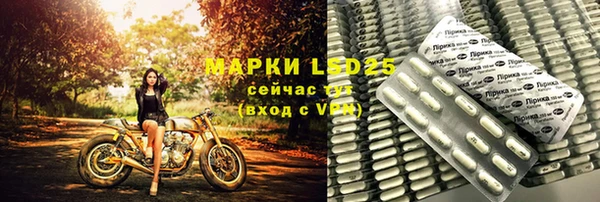 прущие грибы Дмитриев