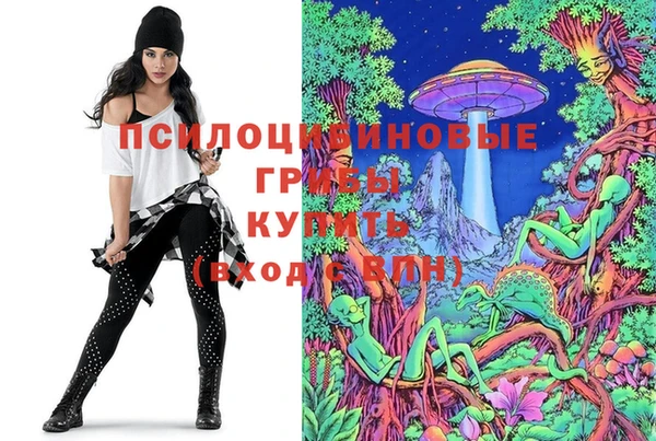 ПСИЛОЦИБИНОВЫЕ ГРИБЫ Дмитров