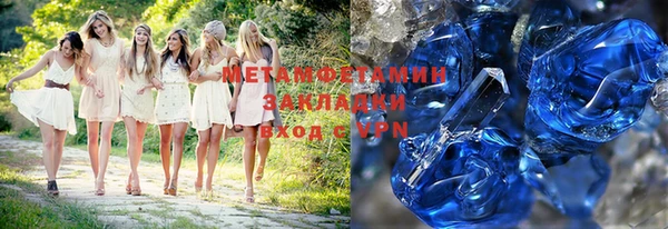 прущие грибы Дмитриев