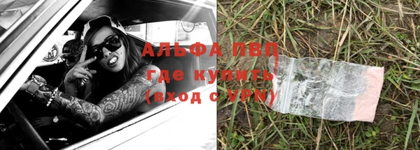 прущие грибы Дмитриев