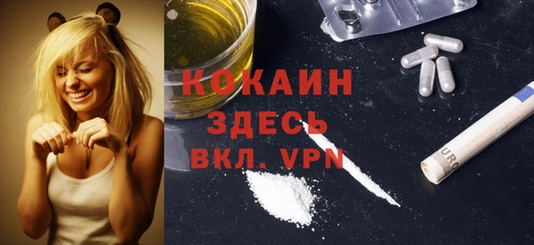 прущие грибы Дмитриев
