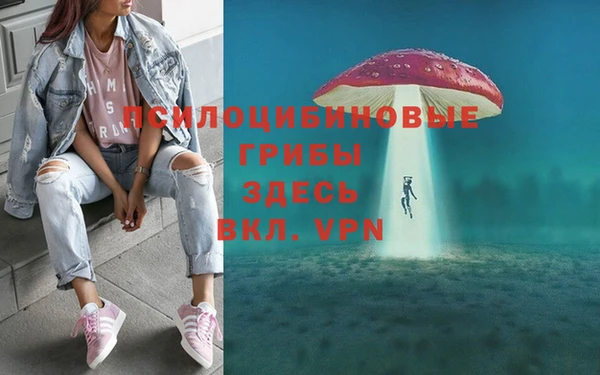 ПСИЛОЦИБИНОВЫЕ ГРИБЫ Дмитров