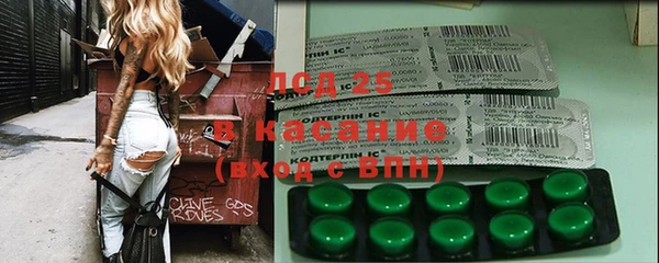 прущие грибы Дмитриев